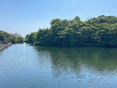 -济州森林小火车生态公园