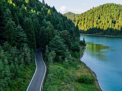 -武陵山森林公园