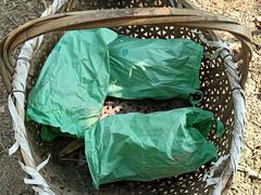 -马陆小张葡萄园农家乐