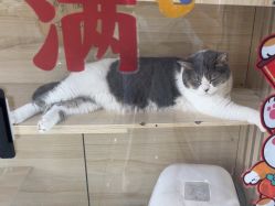 -苗医生草本科技祛痘