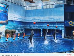 -多彩贵州城极地海洋世界