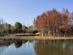 -长广溪湿地公园