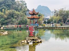 -靖西鹅泉风景区