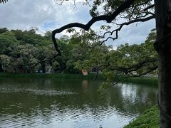 -潮州西湖