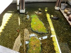 -几荷·恰似故人来(秀水广场店)