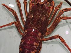 -万龙洲海鲜(大兴绿地缤纷城店)