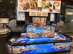 -蟹道乐(道顿堀本店)