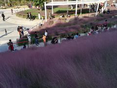 -牛岗山公园