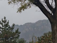 -北京中信金陵酒店