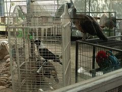 -厦门园林博览苑