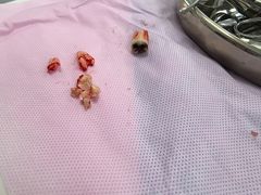 -西安交通大学口腔医院(主院区)