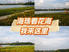 -海珠湖公园