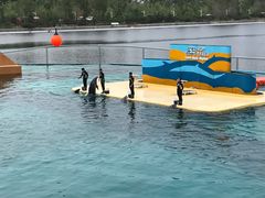 -秦皇岛乐岛海洋王国