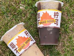-烧柠·柠檬茶(大融城店)