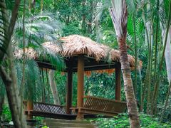 -深圳国际园林花卉博览园