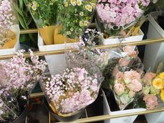 -溪岸路花鸟市场