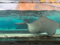 -新加坡水上探险乐园