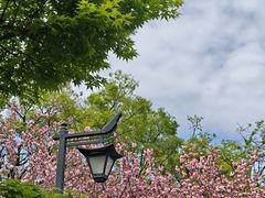 -东钱湖旅游度假区