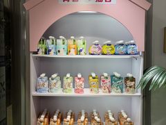 -青奢宠物·青奢猫舍