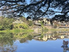 -云水谣景区