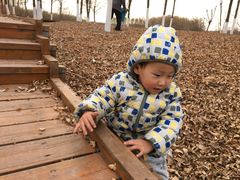 -东郊湿地公园