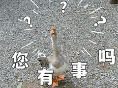 -1982农场