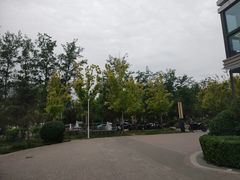 -易通行汽车陪练(通州店)