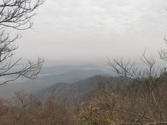 -紫金山山顶公园