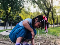 -永定河休闲森林公园