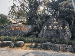 -海南槟榔谷黎苗文化旅游区