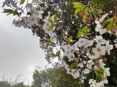 -黄兴公园