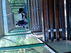 -南戴河国际娱乐中心