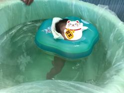 -月来悦好国际月子会所