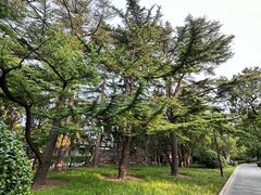 -北京市劳动人民文化宫(太庙)