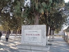 -赵州桥景区