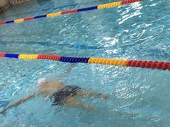 -金吉鸟健身游泳