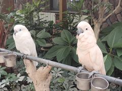 -南宫五洲植物乐园