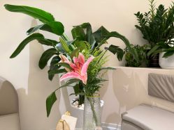 点击看大图 -芮娜皮肤管理·SPA中心