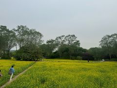 -北坞公园