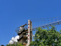 -客天下恐龙水晶玻璃桥