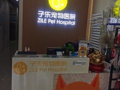 -子乐宠物医院