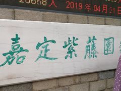 -嘉定紫藤园