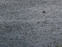 -泸沽湖国家级风景名胜区走婚桥