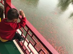 -西海子公园