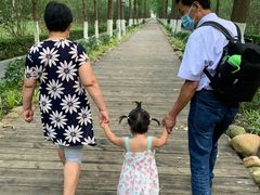 -合肥滨湖国家森林公园