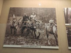 -呼伦贝尔民族博物馆