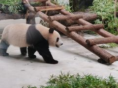 -杭州动物园