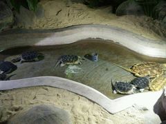 -泉城欧乐堡海洋极地世界