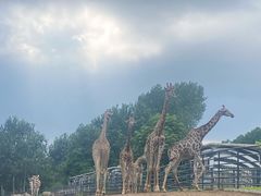 -大连森林动物园