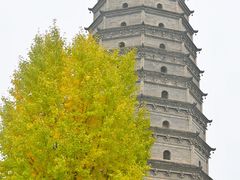 -法门文化景区